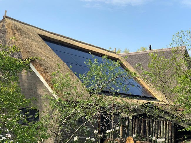 Waarom Q CELLS zonnepanelen