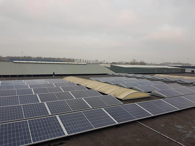 Zonnepanelen subsidies in Assen