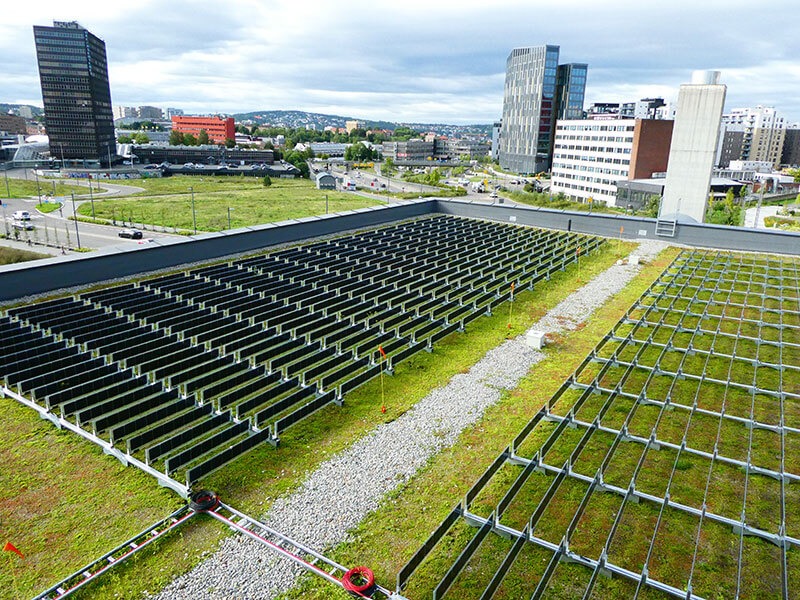 Groen dak met zonnepanelen